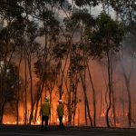 Australia, un centinaio di incendi nell’est: devastati numerosi parchi nazionali, quasi 3 mila vigili del fuoco impegnati [FOTO]