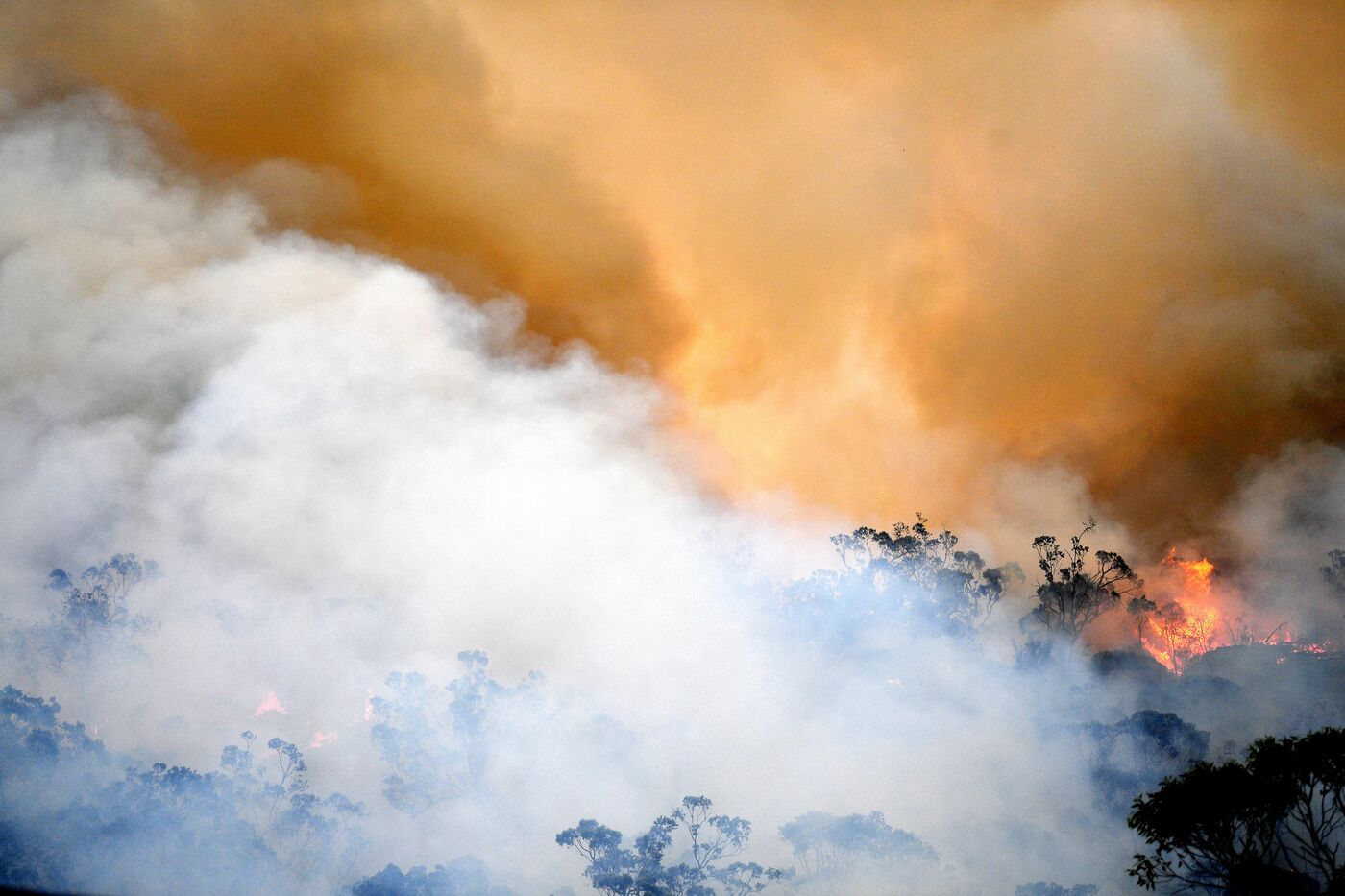 Continua la devastazione degli incendi in Australia