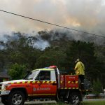 Emergenza in Australia: oltre 2mila koala morti negli incendi, rischiano l’estinzione [FOTO]