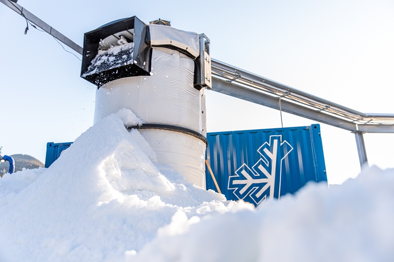 legno vaia neve