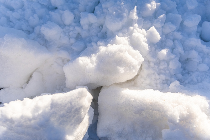 legno vaia neve