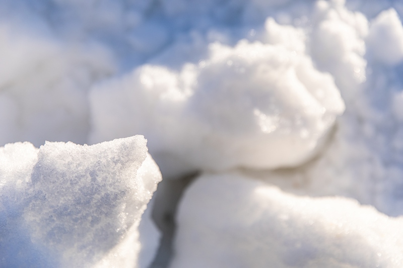 legno vaia neve
