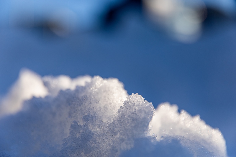 legno vaia neve