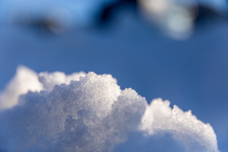 legno vaia neve