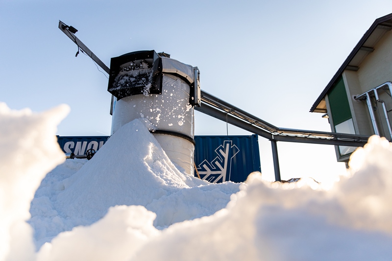 legno vaia neve