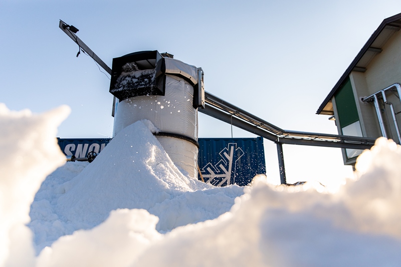 legno vaia neve