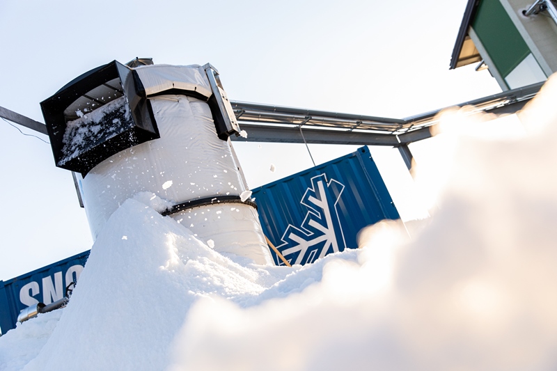 legno vaia neve