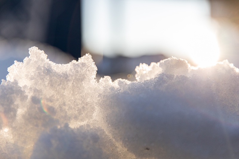 legno vaia neve