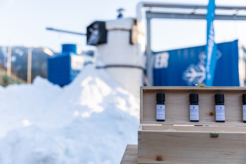 legno vaia neve