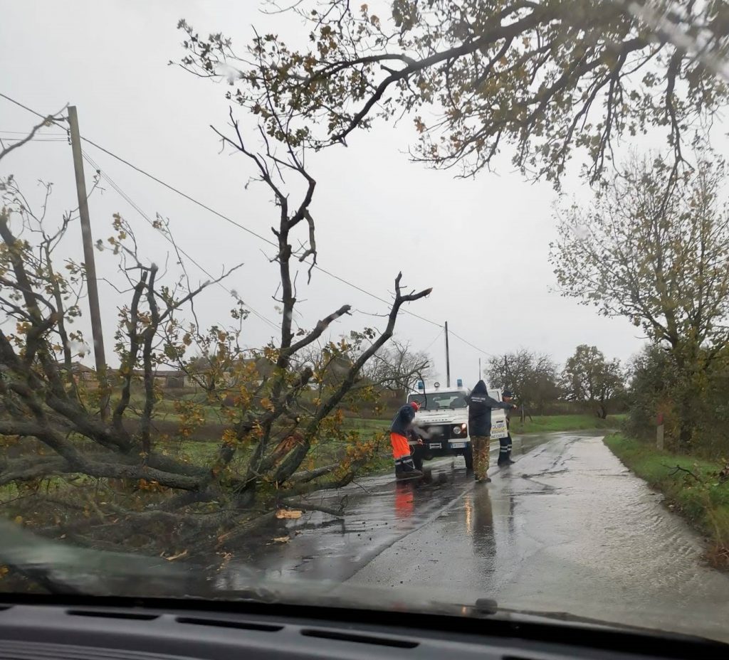 maltempo bisignano