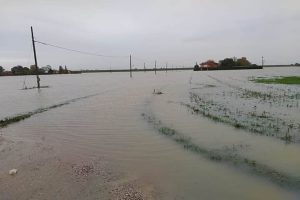 maltempo emilia romagna