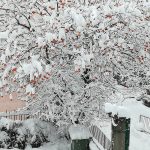 Maltempo, tanta neve in Valle d’Aosta: immagini da incanto dal capoluogo, fino a 40cm sui settori di nord-ovest [FOTO e VIDEO]
