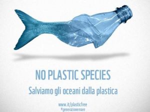 plastic free