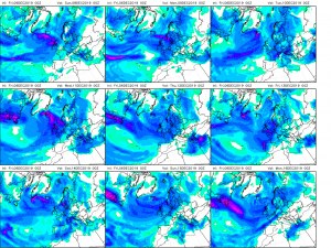 previsioni meteo immacolata
