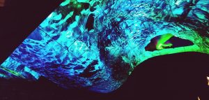 CES 2020 LG OLED Wave
