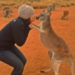 Australia, il canguro abbraccia ogni giorno i suoi soccorritori per ringraziarli e conquista il web, ma non c’entra con gli incendi [FOTO e VIDEO]