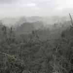 Filippine, il vulcano Taal ha devastato l’isola di Luzon: animali sterminati, foreste distrutte dalla cenere. Si teme “esplosione pliniana”, 20 milioni di persone a rischio [FOTO e VIDEO]
