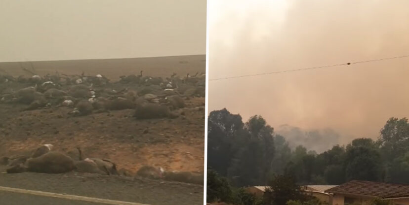 incendi australia