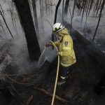 Incendi in Australia, un evento “mostruoso”: distrutta un’area grande quanto il Portogallo, animali a rischio estinzione
