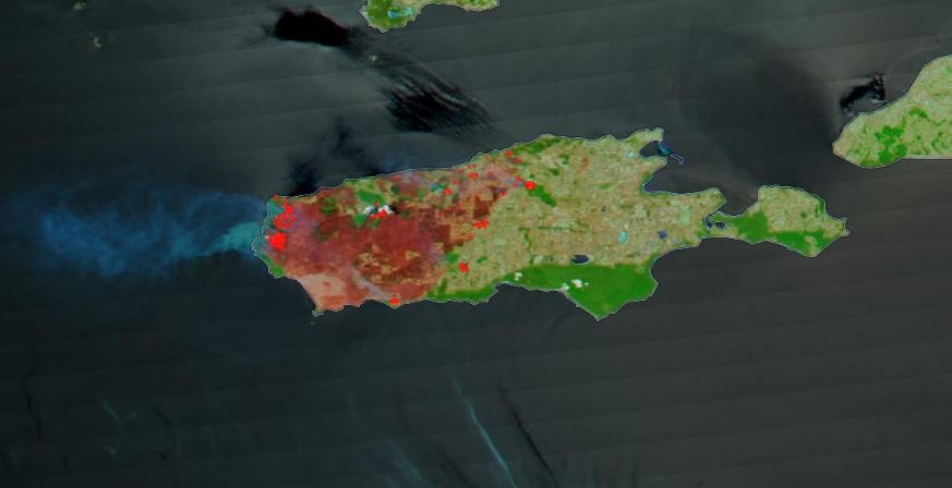 incendi australia