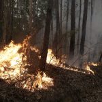 Emergenza incendi in Australia: alta l’allerta nonostante leggere piogge e calo delle temperature [FOTO]