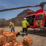 Incendi Australia, migliaia di chili di verdure fresche lanciate dagli aerei in soccorso degli animali in difficoltà [FOTO]