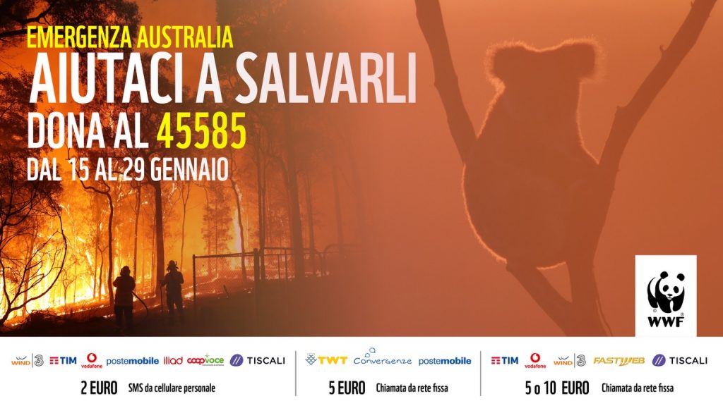 incendi australia wwf