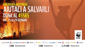 incendi australia wwf