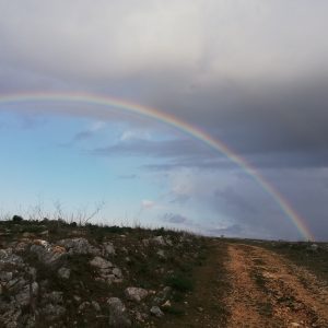 Murgia del Graviglione
