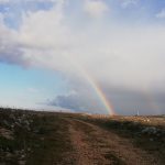 Meteo Puglia: ultimi refoli invernali tra Santeramo e Altamura [FOTO]