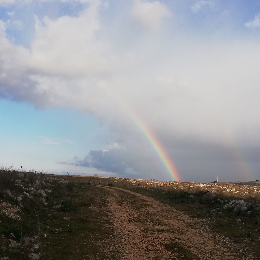 Murgia del Graviglione