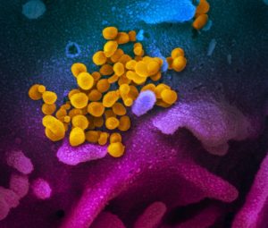coronavirus