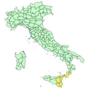 allerta meteo