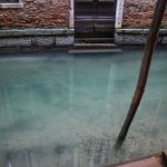 Il Coronavirus ferma Venezia e l’acqua dei canali torna limpida e popolata dai pesci [FOTO e VIDEO]
