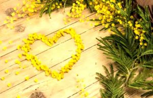 festa della donna 8 marzo