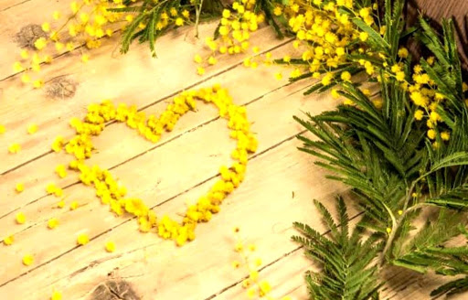 festa della donna 8 marzo
