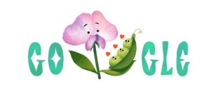 festa papà doodle google