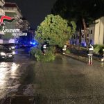 Maltempo in Calabria, bomba d’acqua a Vibo Valentia: auto sommerse da frane e fango, devastato lo stabilimento di Callipo [FOTO e VIDEO LIVE]