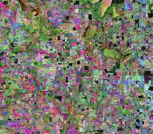 Wheatbelt Australia Occidentale