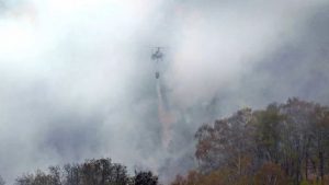 incendi toscana