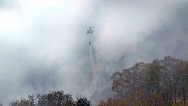incendi toscana