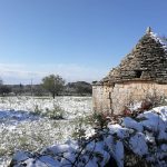 Maltempo, nevicata primaverile in Puglia: “Il clima pazzo ha dato il colpo di grazia all’agricoltura”[FOTO]