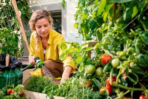 urban gardening