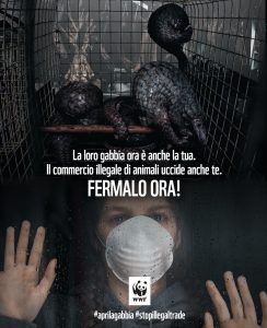 apri la gabbia wwf