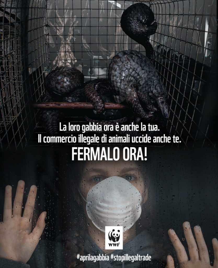 apri la gabbia wwf