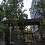 India: Calcutta devastata dal potente ciclone Amphan, danni e vittime [FOTO]