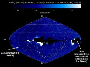 cometa swan