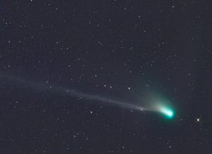 cometa swan