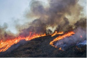 incendi artico