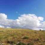 Maltempo Puglia, forte vento in Alta Murgia: “Colpi di tuono, brevi piovaschi e cieli pittoreschi” [FOTO]